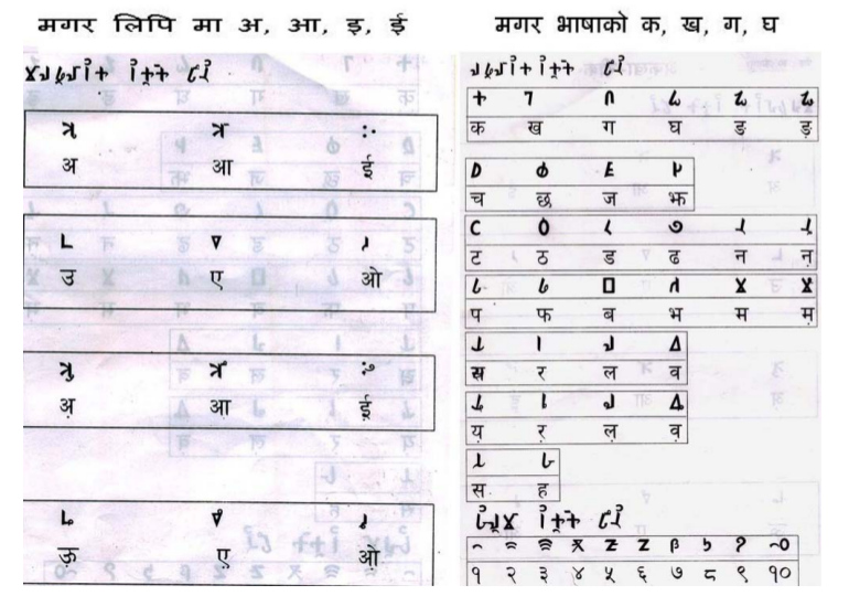 Another Magar Aaakha Script Vowels and Consonat Graphical Illustration